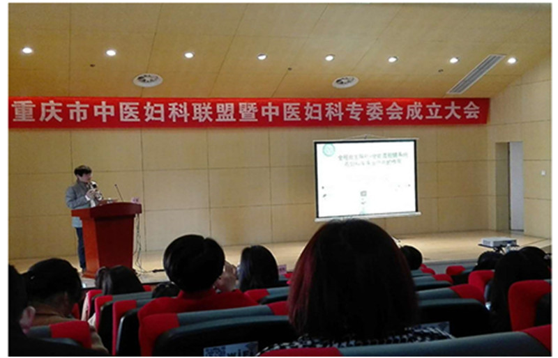 重庆市中医院中医妇科联盟学术会议简报